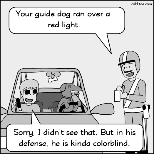service dog